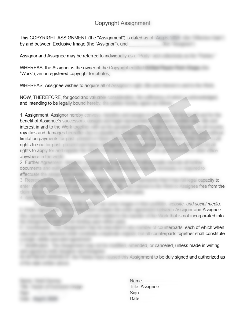 Beef Stuffed Shells with Cottage Cheese Recipe (exclusive)