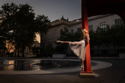 The Signature Portrait Collection