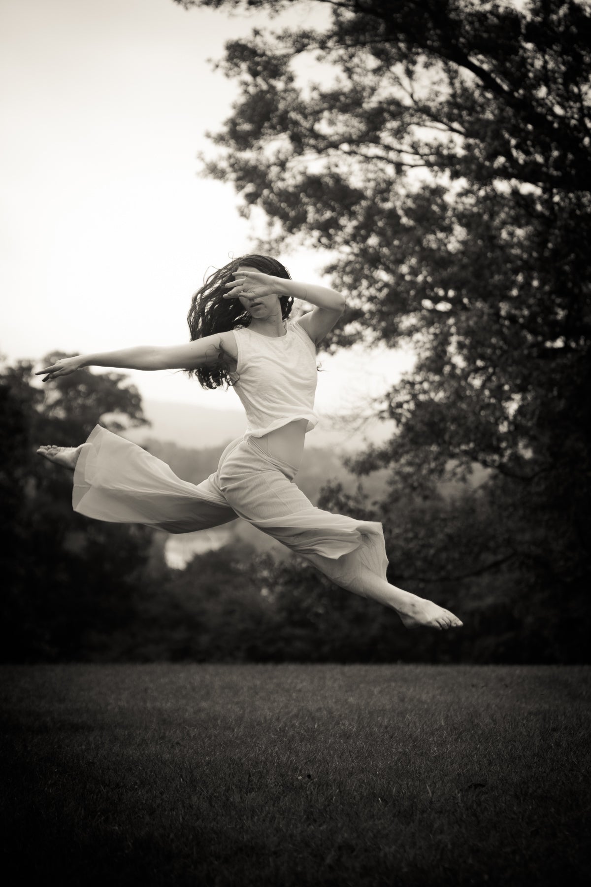 The Classic Portrait Collection