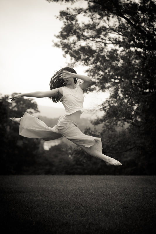 The Classic Portrait Collection