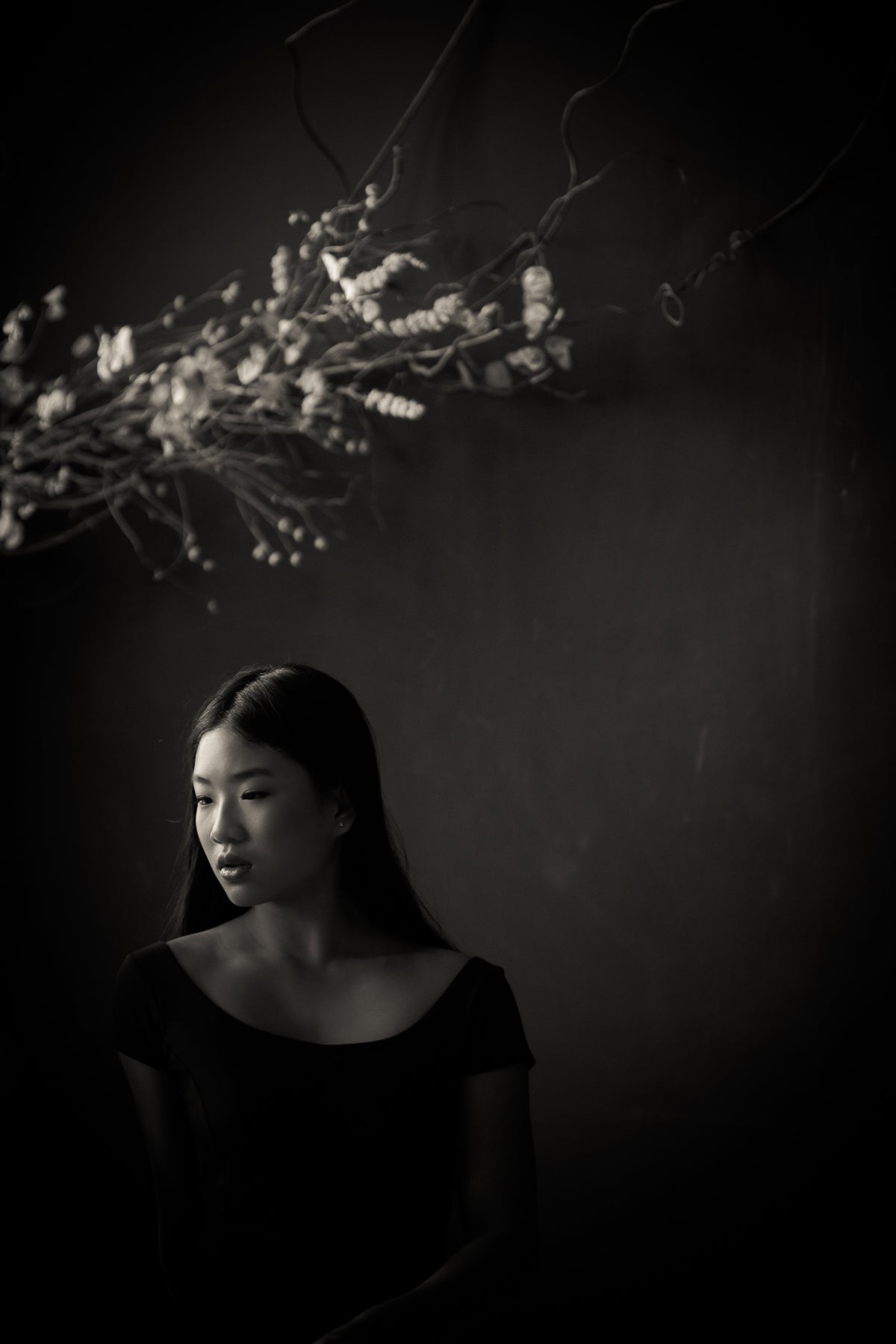 The Classic Portrait Collection